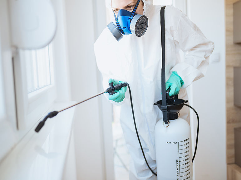 PestControl_photos_pest_control_ths2.jpg