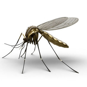 15 Tips to be Mosquito-Free All Summer 