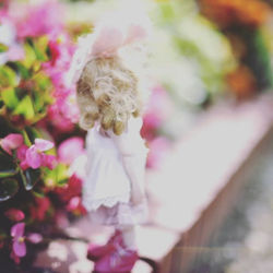 何時ぞやの追憶__秘境の花園は神秘なる薫りで目覚める…。