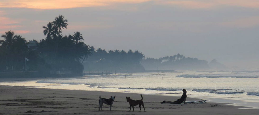 Surf-midigama-weligama.jpeg