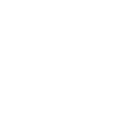 キラキラアイコン