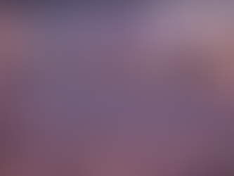 Why Does the Software Product CEO Need Enterprise Architecture?