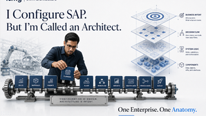 I Configure SAP. But I’m Called an Architect.
