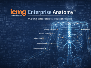 ICMG Enterprise Anatomy™ - Making Enterprise Execution Visible