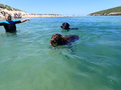 C0574CD1-6A5C-4B73-8BD0-7E50562FAF4F