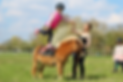 Reittherapie_05_edited.png