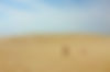 PL_strand.jpg