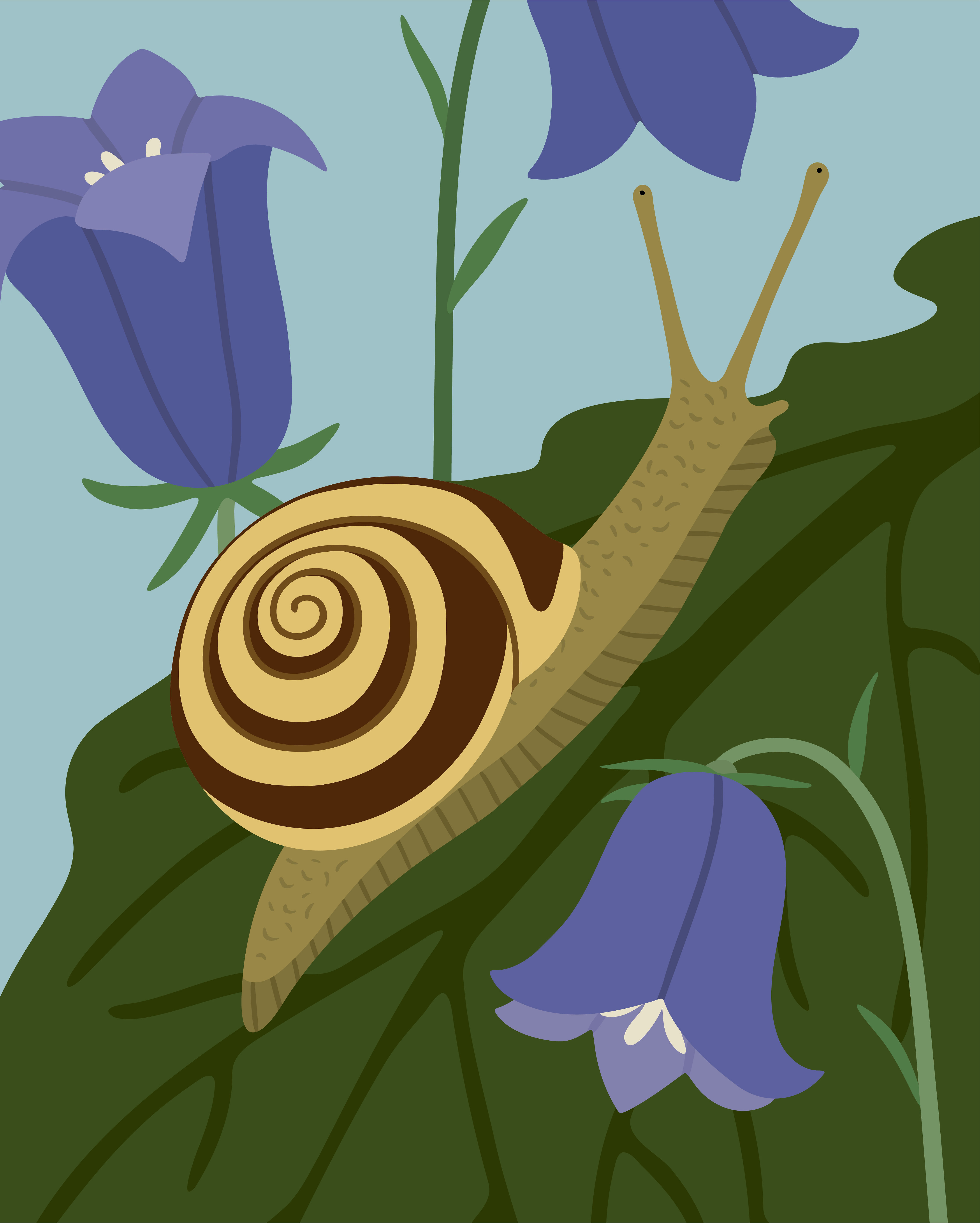 Escargot des jardins