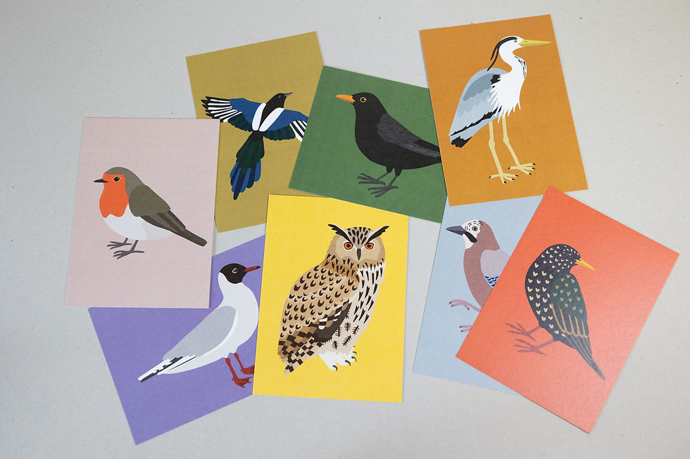 Miniature : Kit de 8 cartes Oiseaux