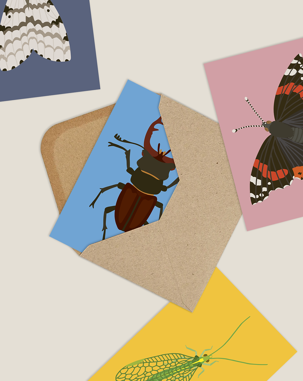 Miniature : Kit de 8 cartes Insectes