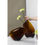 Miniaturbild: Home and Kitchen, Element Accessories, Vase "Kooky", Glas, amber, KOO30AM
