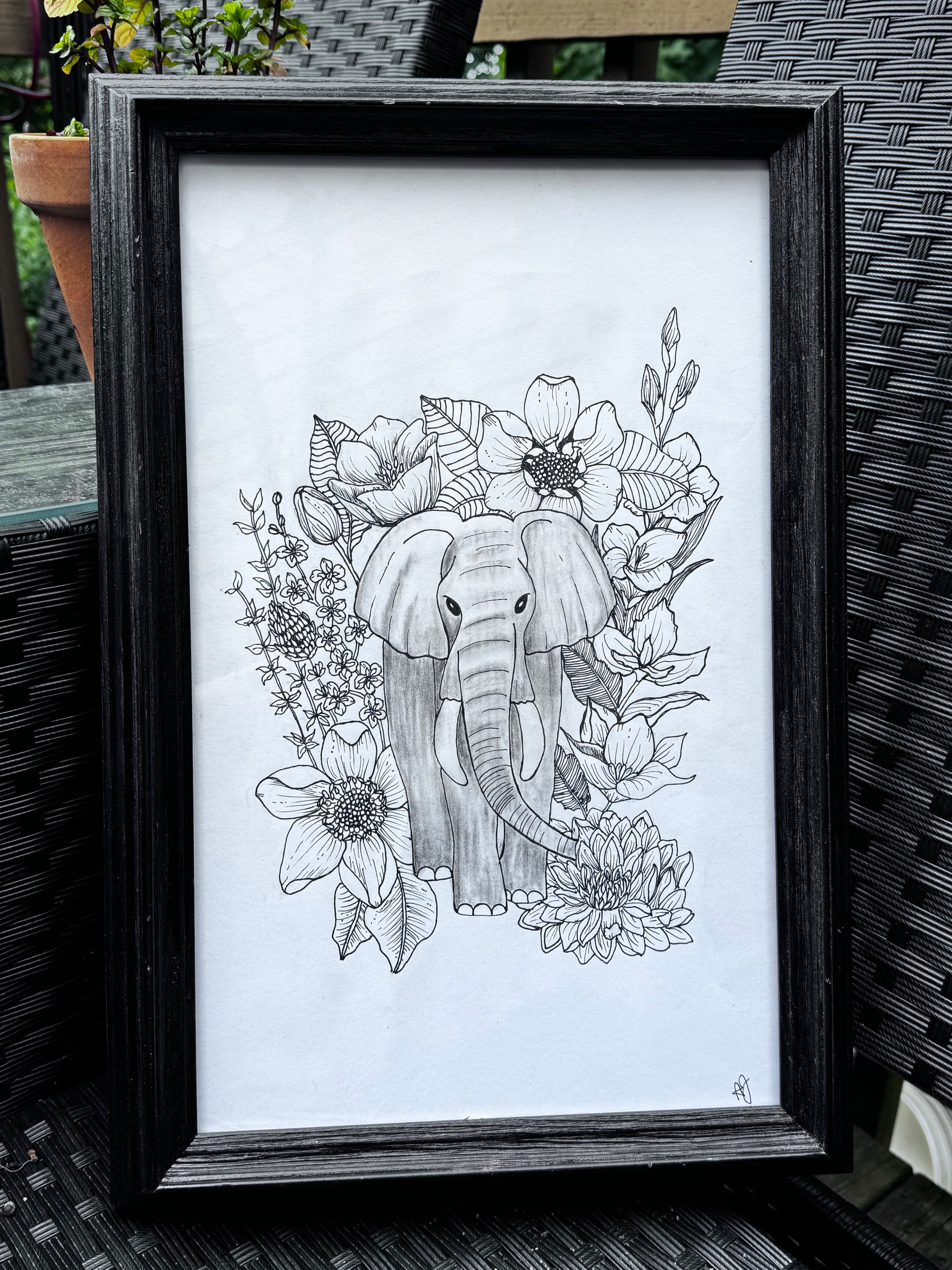Elephant Black & White ink drawing