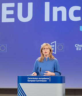 EU Inc.png