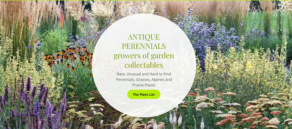 Vocational Visit - Antique Perennials