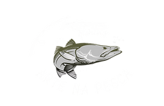 IOJIHI.png