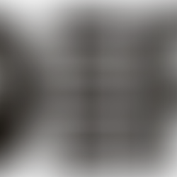 Marineland closes for good: a new chapter for marine mammals in captivity