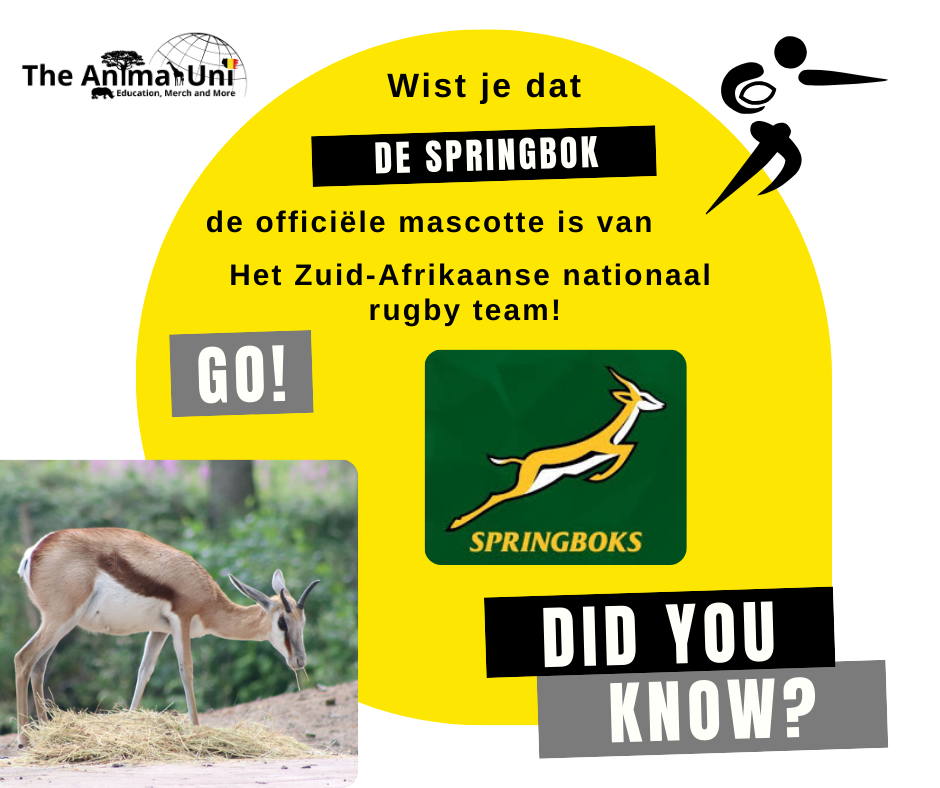 @TheAnimalUni_DidYouKnow