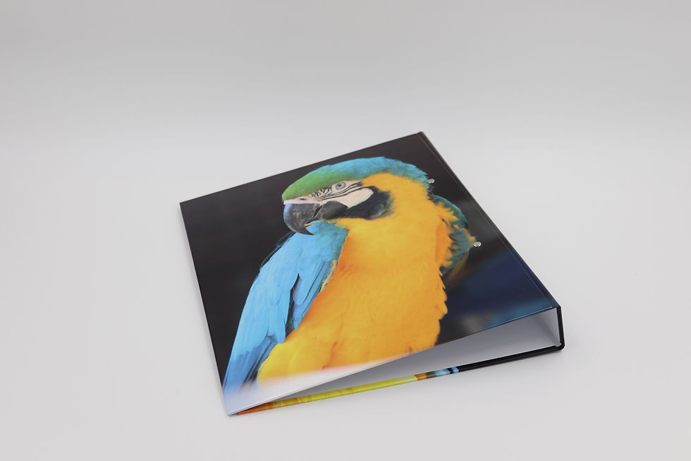 Thumbnail: Ring binder Ara