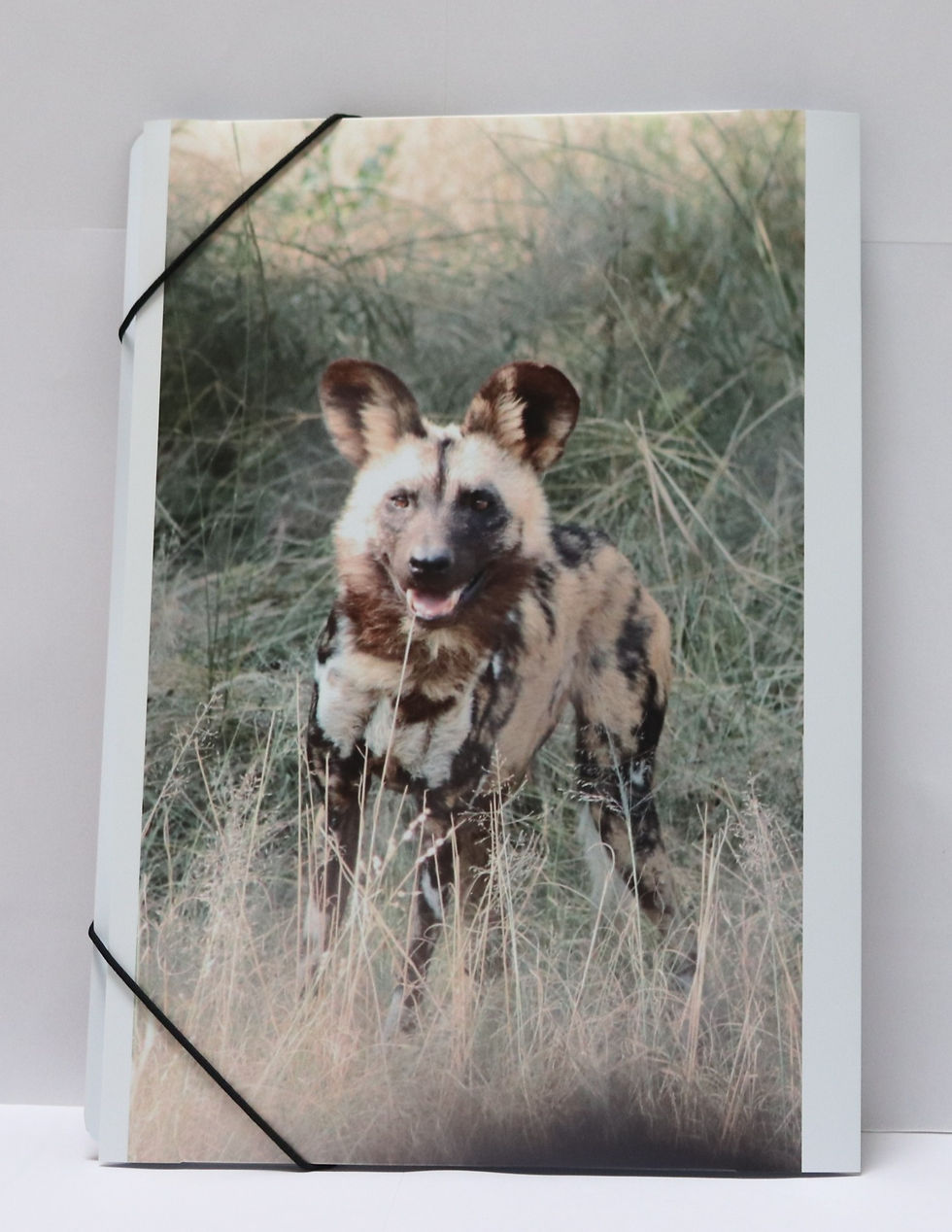 Elastomap Afrikaanse Wilde Hond