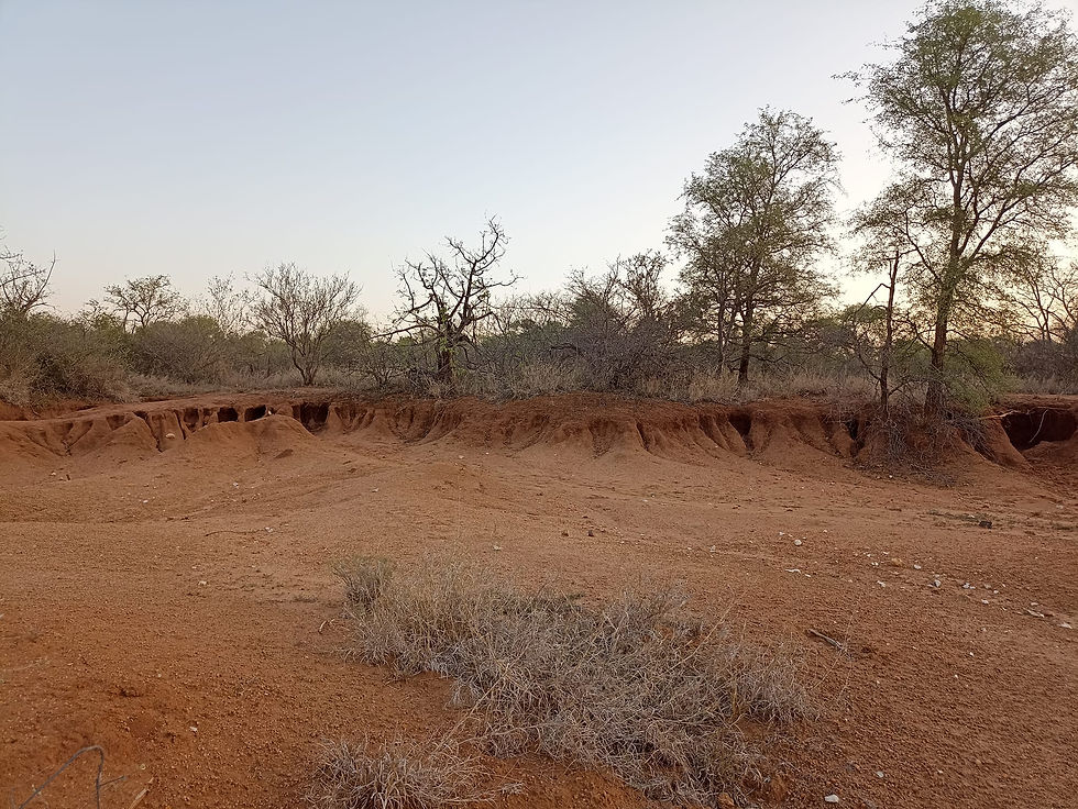 Erosion site in South Africa