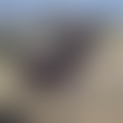 International zebra day - 31/01