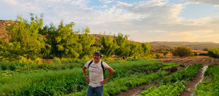 Seeds of the Ancestors: A Lithuanian-Navajo-Hopi Journey to Remember Our Food, Our Stories, and Ourselves
