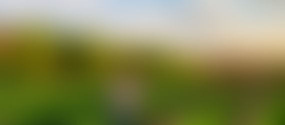 Seeds of the Ancestors: A Lithuanian-Navajo-Hopi Journey to Remember Our Food, Our Stories, and Ourselves