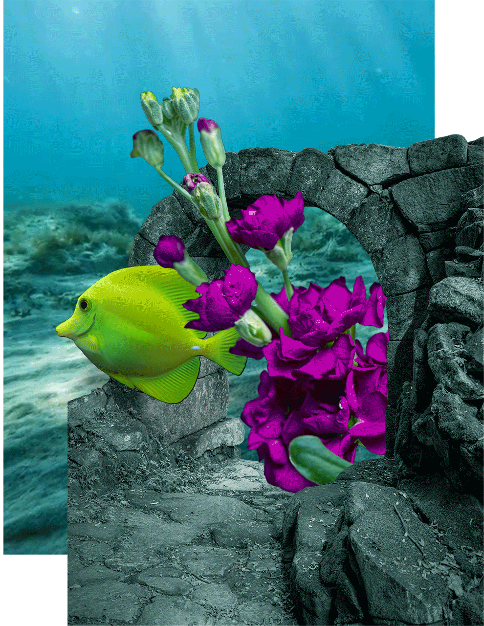 ARCHIVE-COLLAGE2.gif
