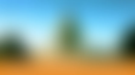 Insights for Engaging the Trump Administration on Global Anti-Corruption Efforts