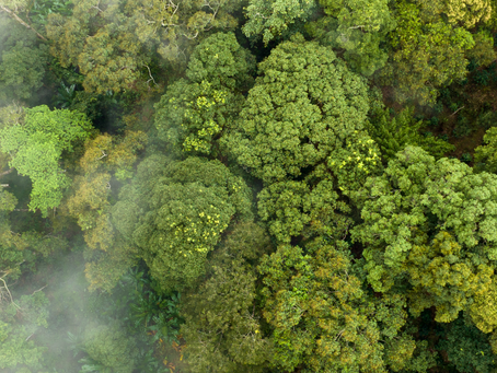 Contrôle technique pollution : Comment éviter une contre-visite pour émission excessive de CO2 ? 