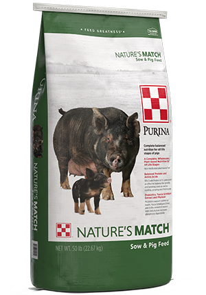 Purina_Pig_SowPig_FINAL_rs.png