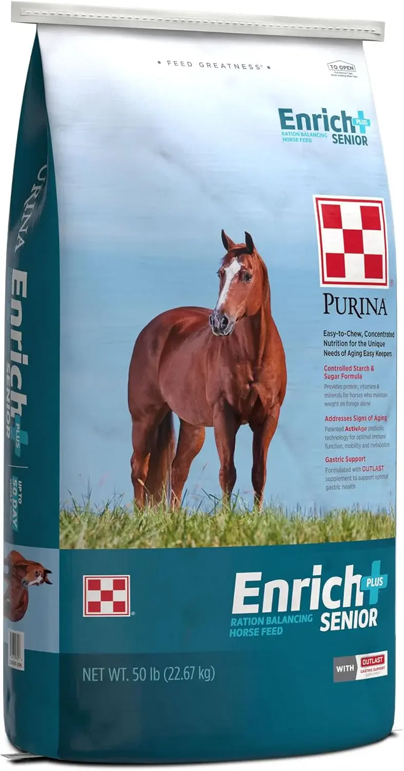 Enrich Sr.webp