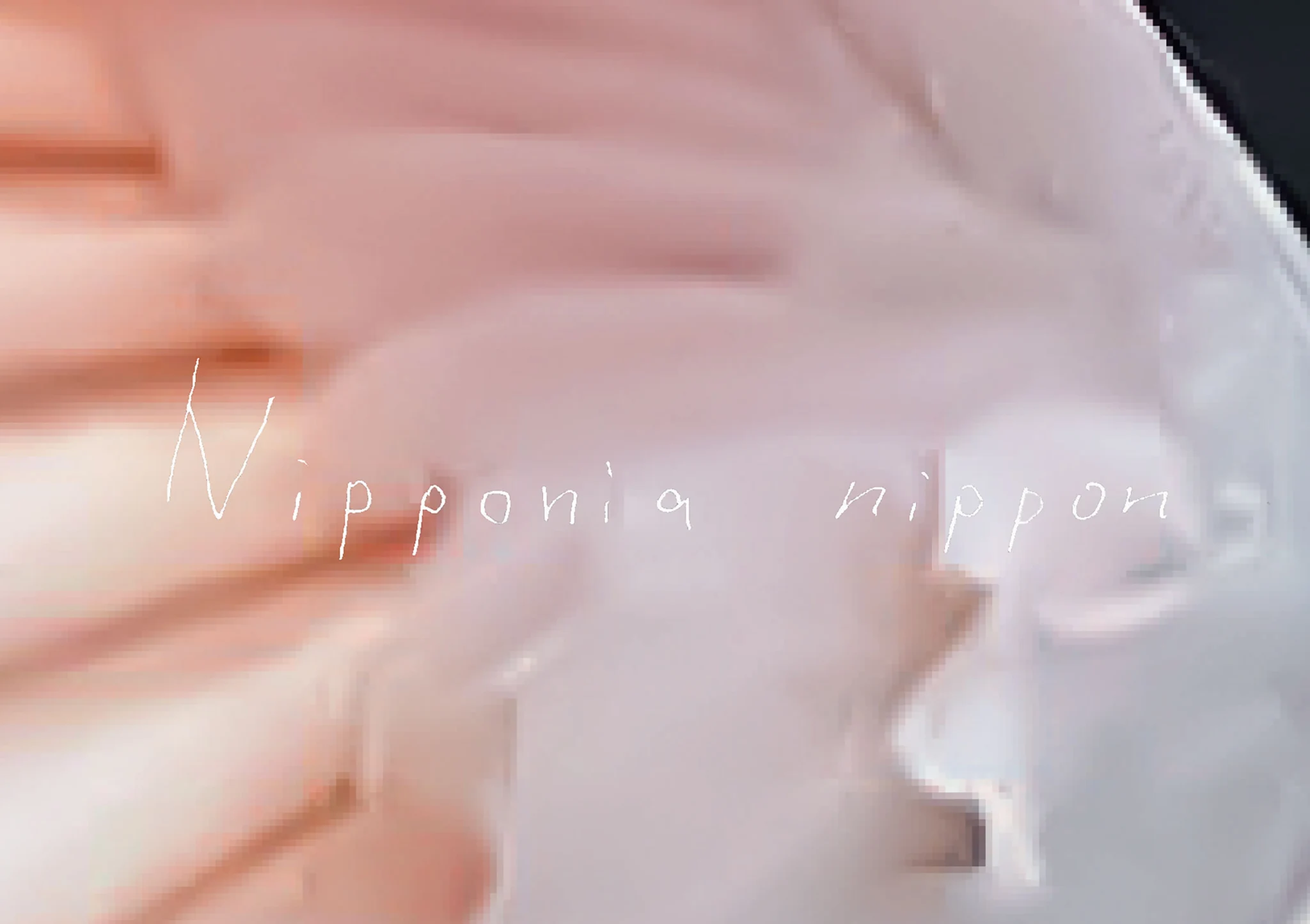 SHIORI WATANABE “Nipponia nippon“