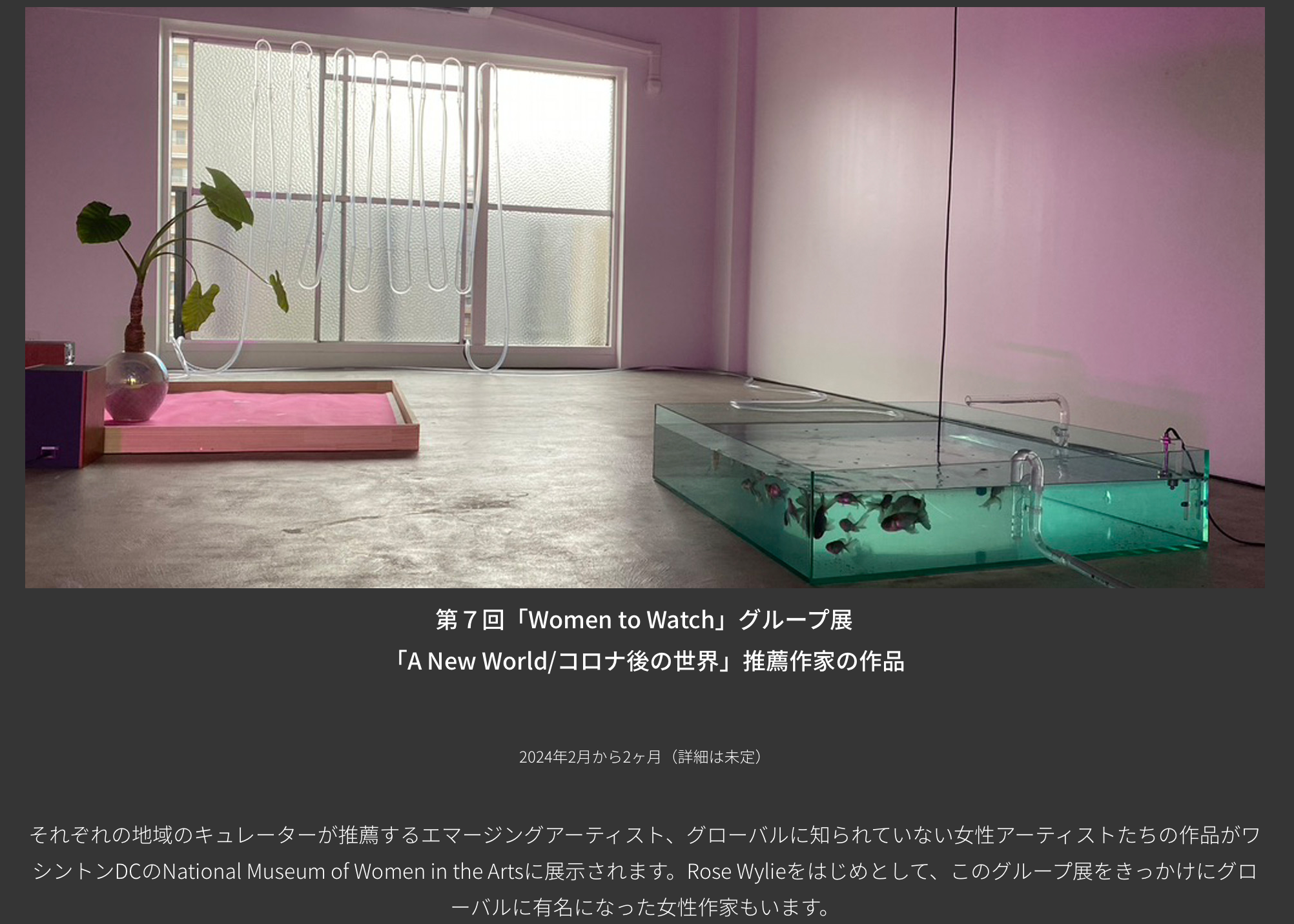 Shiori Watanabe : A New Worlds (National Museun of Momen in the arts Japan)