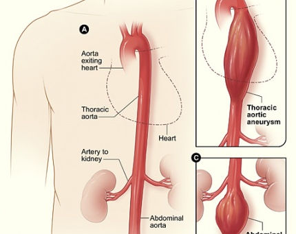 It’s Medical Monday!
