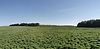 FOTO RELEIVE CAMPO CON MONTE.jpg