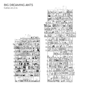 45. Nana Adjoa – Big Dreaming Ants