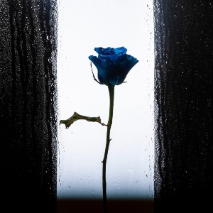 37. Jupiter – Love This Chaos