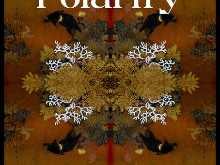 James Larter: Polarity