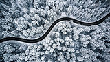 Aerial view of a winding road through a snow-covered forest