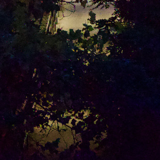 IMG_1227.jpeg