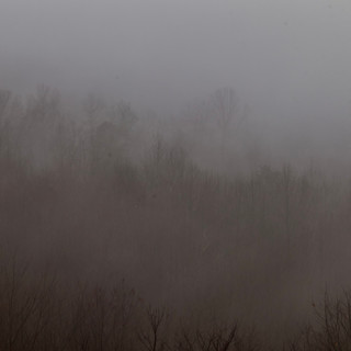 IMG_2437.jpeg