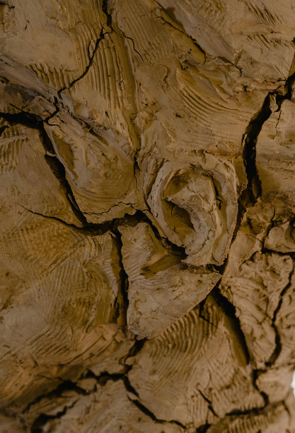 L’argile, mémoire vivante de la Terre: une matière au service de la reconnexion intérieure