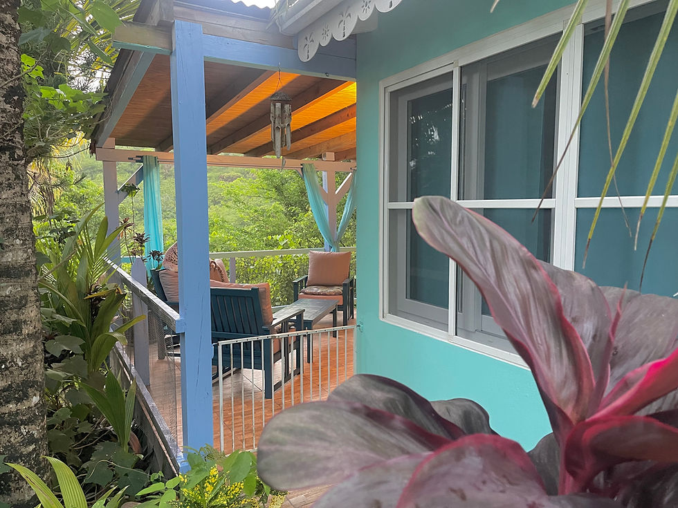 Terrasse pv Gîte XXL