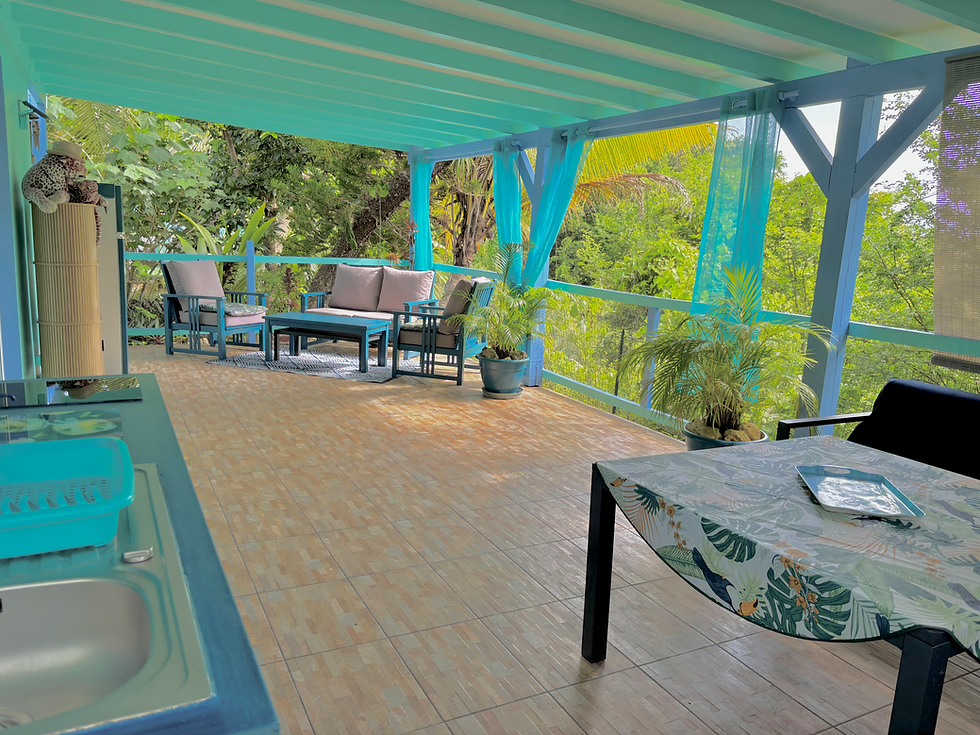 Terrasse pv Gîte XXL