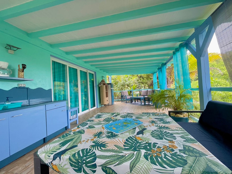 Terrasse pv Gîte XXL