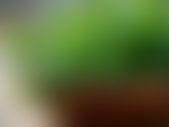 Why Using Herbs Benefits Your Health