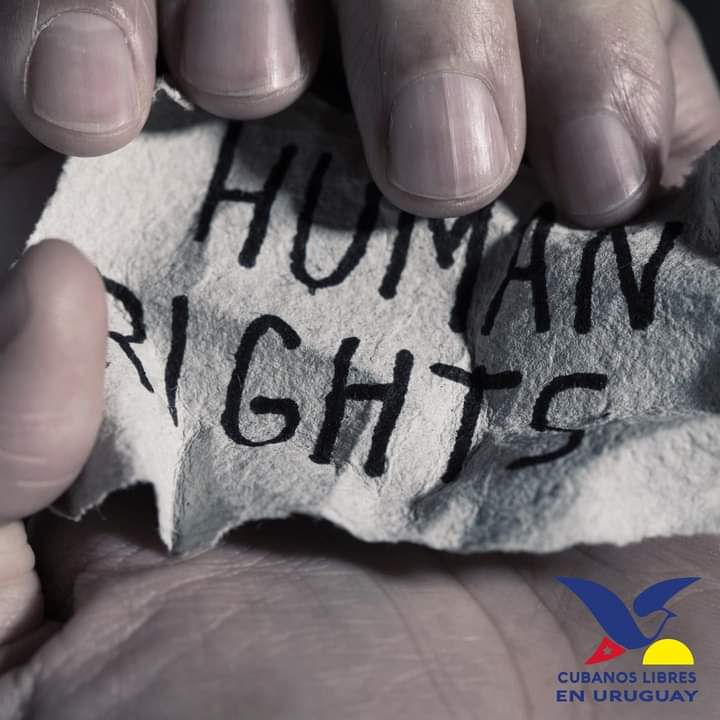 Declaración Universal de Derechos Humanos