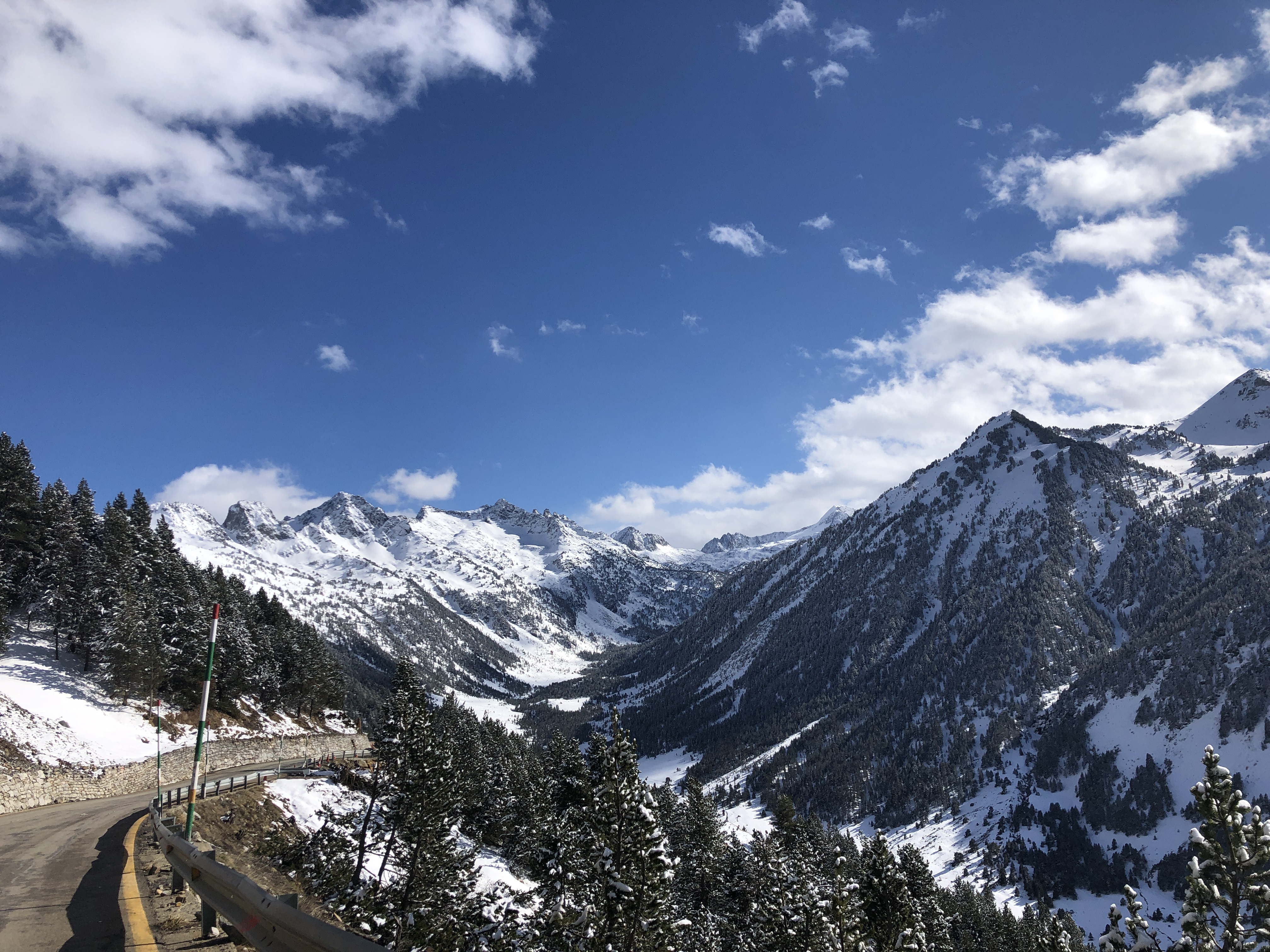 Pyrenees