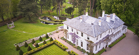 tall-trees-aerial-view-1.jpeg